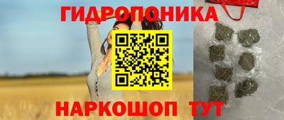 шишки Будённовск