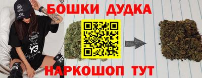 шишки Будённовск