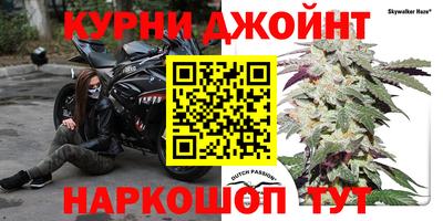 шишки Будённовск