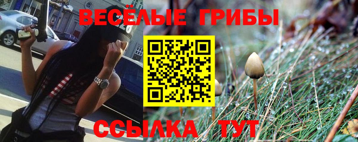 Галлюциногенные грибы прущие грибы  Вход с VPN  Псилоцибиновые грибы MAGIC MUSHROOMS  Славгород 