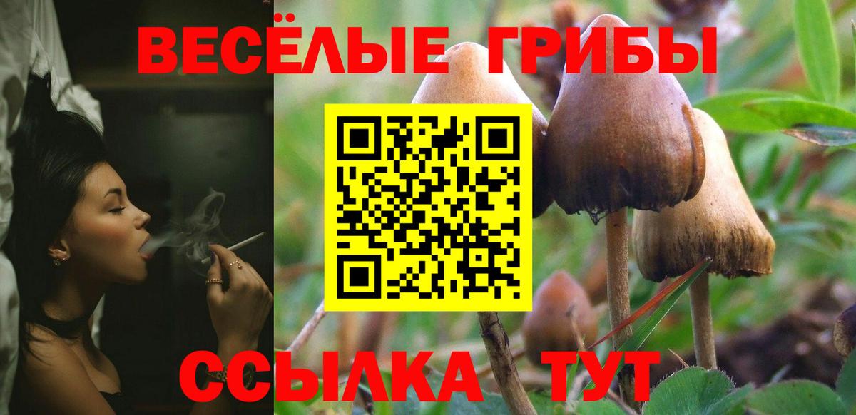 Галлюциногенные грибы прущие грибы Славгород
